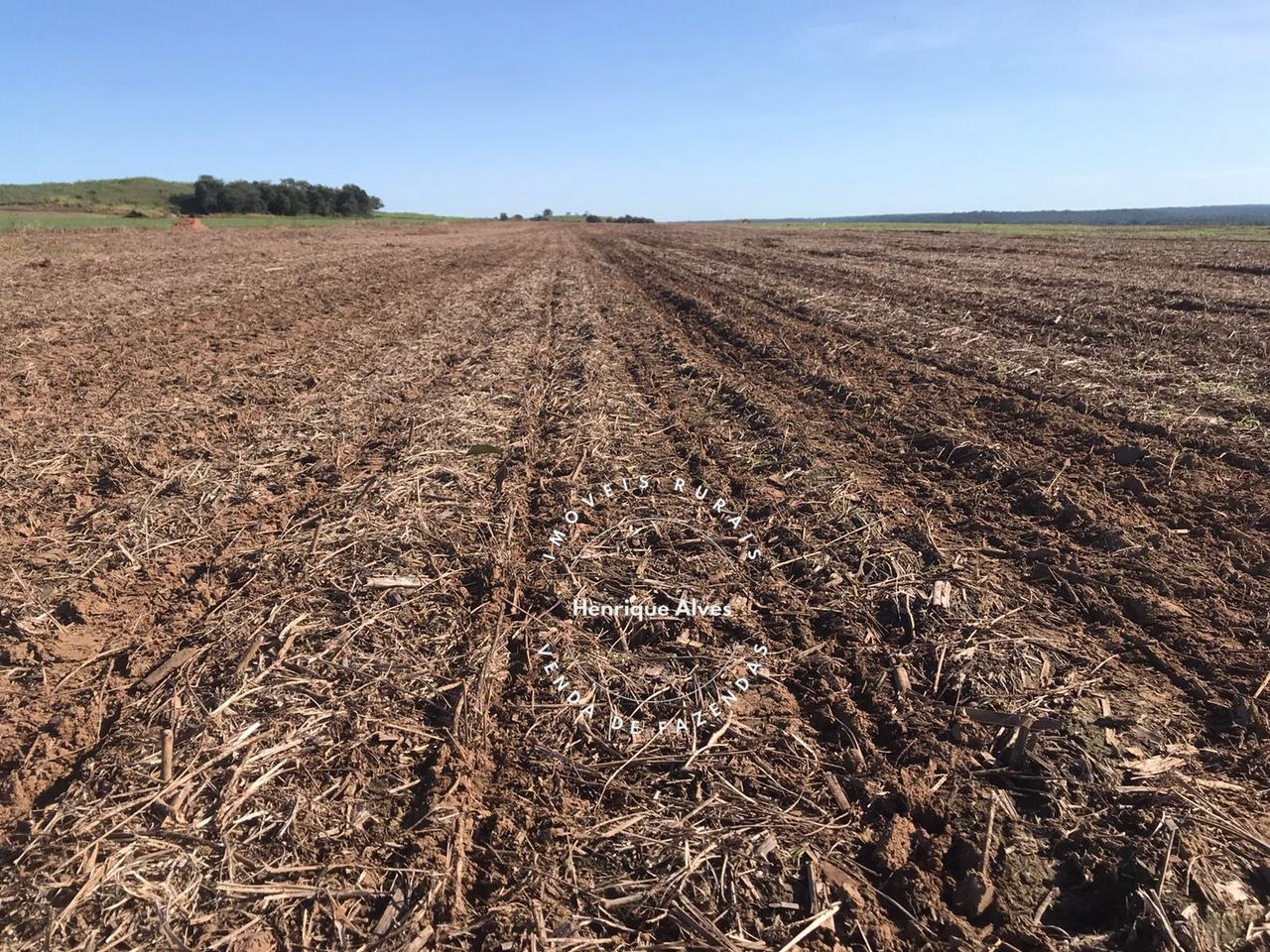 Fazenda
