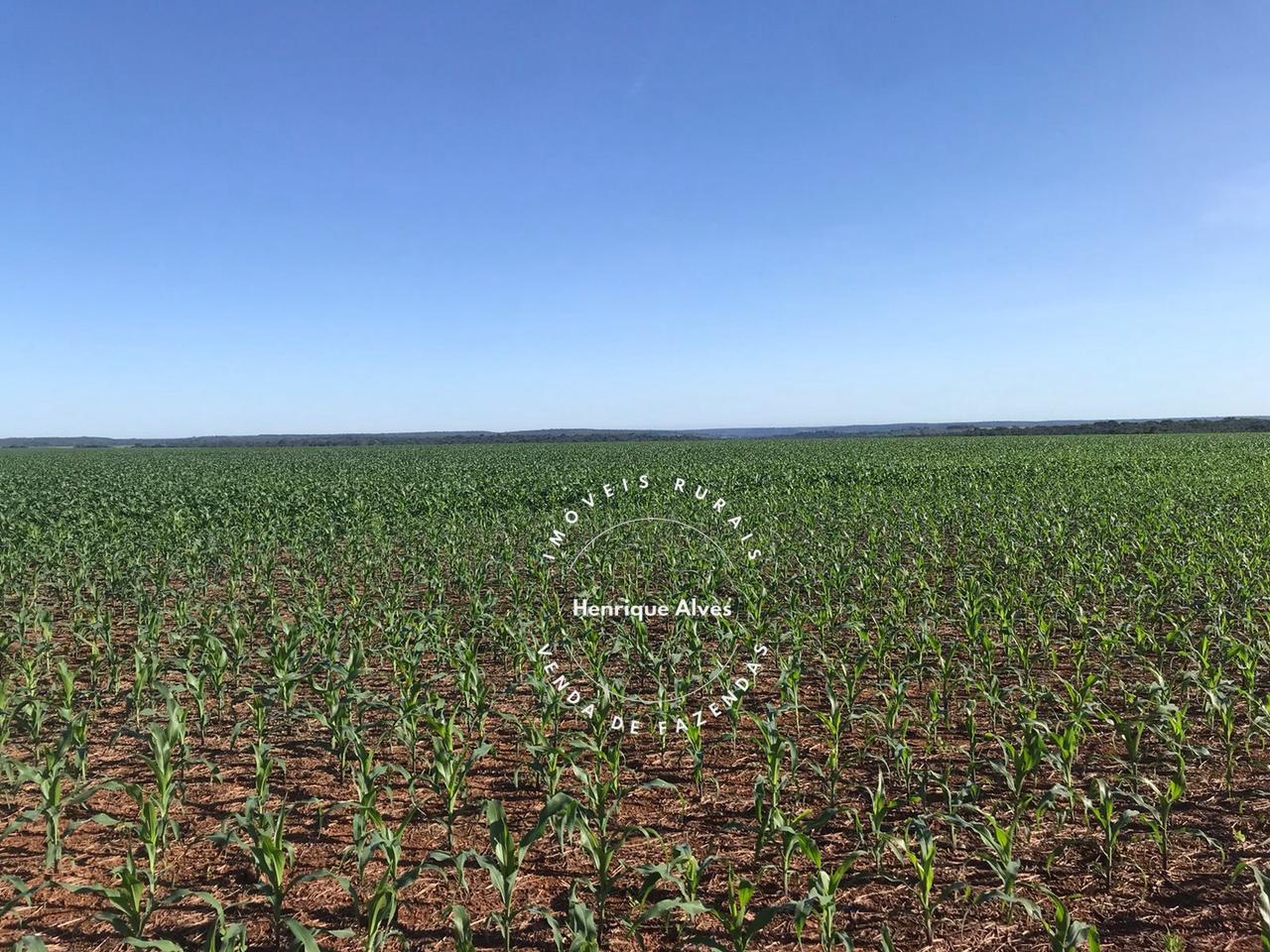Fazenda