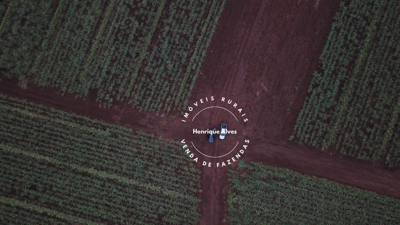 Fazenda Região Quirinopolis Goiás