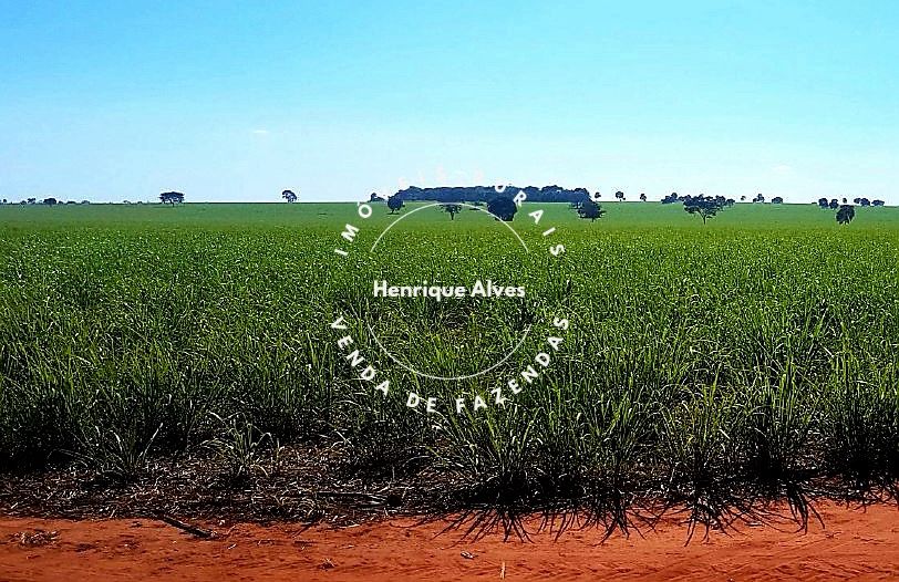 Fazenda Região Quirinopolis Goiás