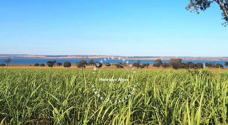 Fazenda Região Quirinopolis Goiás