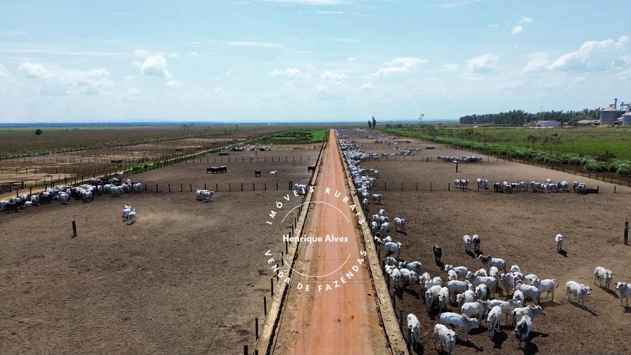 Fazenda Região Vale do Guaporé