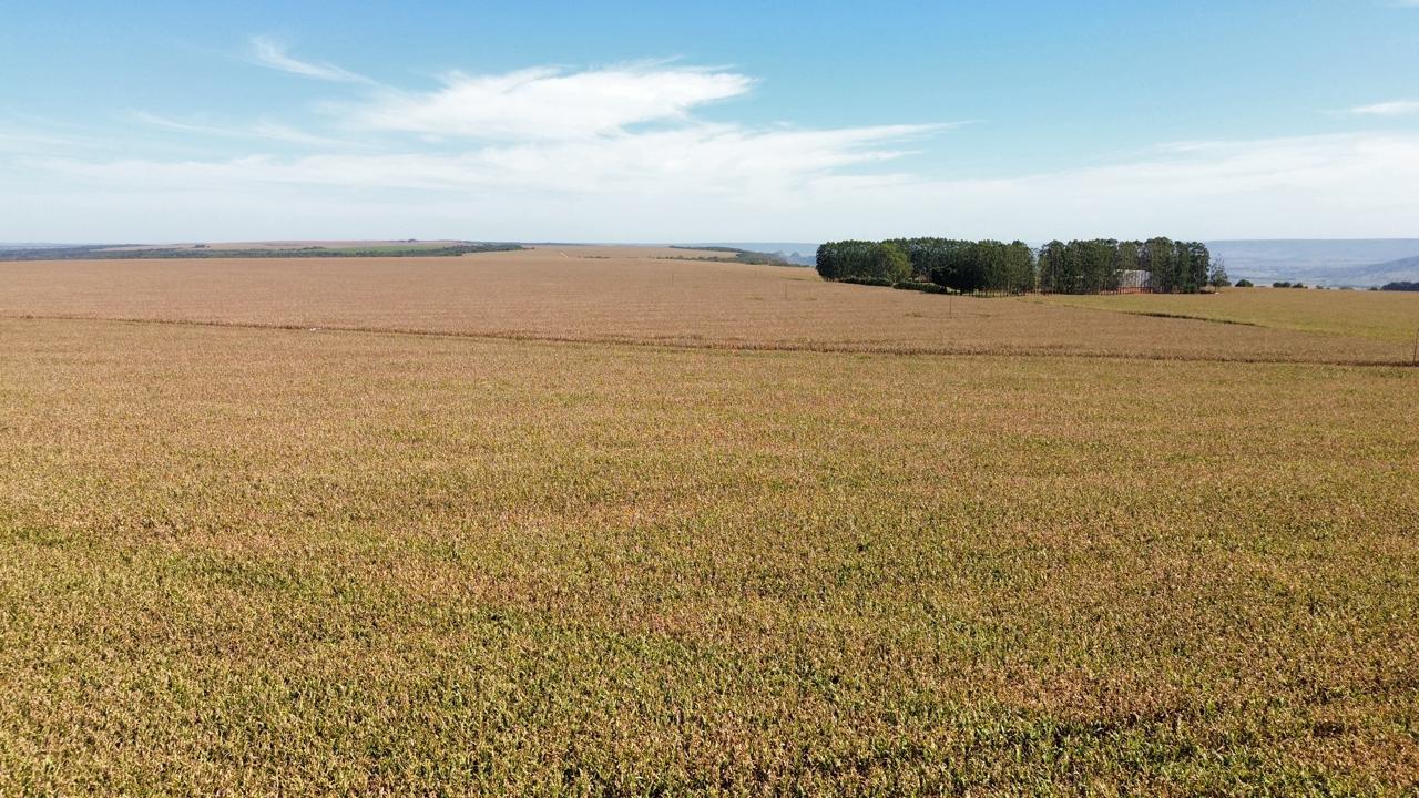 Fazenda na Serra da Petrovina