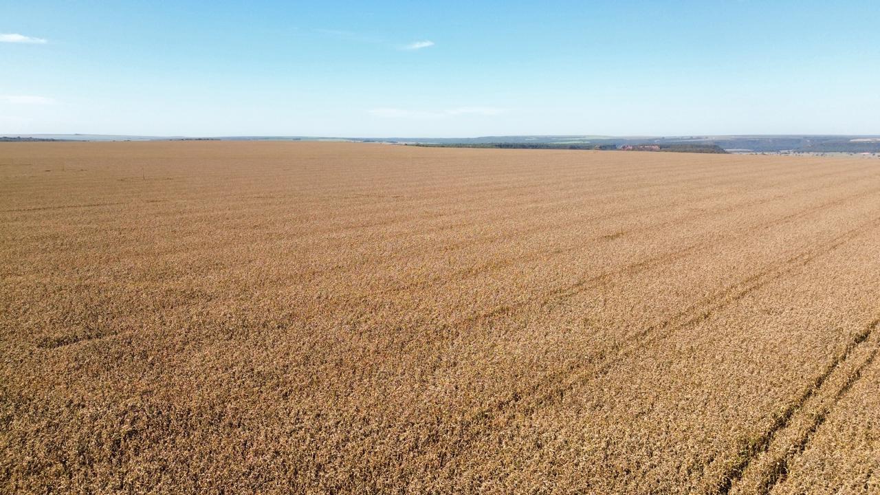 Fazenda na Serra da Petrovina