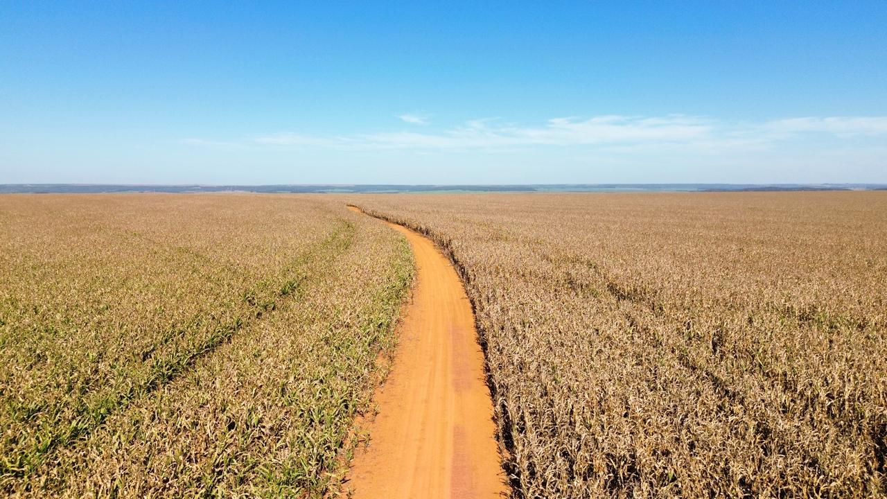 Fazenda na Serra da Petrovina
