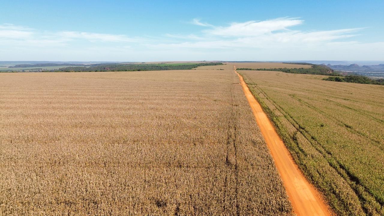 Fazenda na Serra da Petrovina
